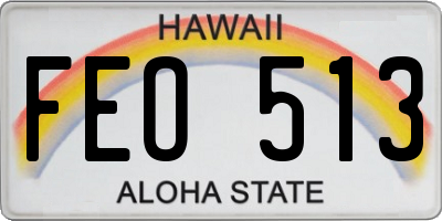 HI license plate FEO513