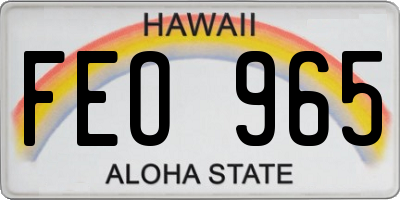 HI license plate FEO965