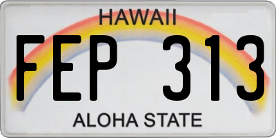 HI license plate FEP313