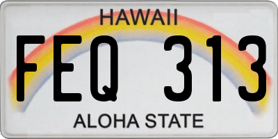 HI license plate FEQ313