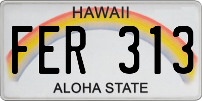 HI license plate FER313