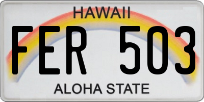HI license plate FER503