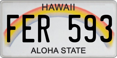 HI license plate FER593
