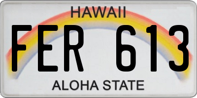 HI license plate FER613