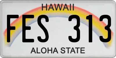 HI license plate FES313