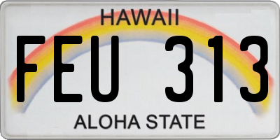 HI license plate FEU313