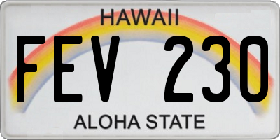 HI license plate FEV230