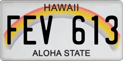 HI license plate FEV613