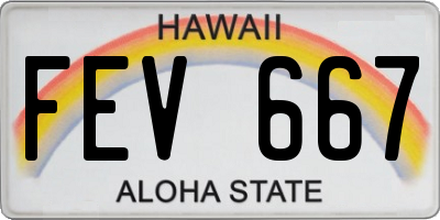 HI license plate FEV667
