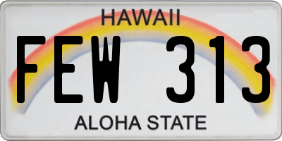 HI license plate FEW313