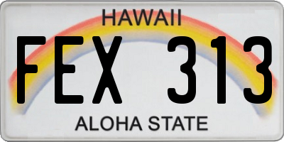 HI license plate FEX313