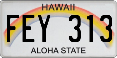 HI license plate FEY313