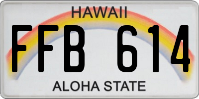 HI license plate FFB614