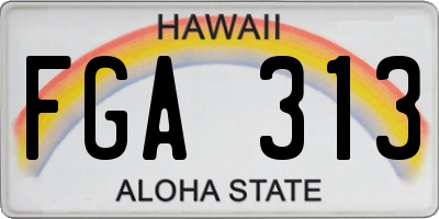 HI license plate FGA313