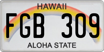 HI license plate FGB309