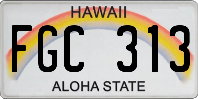 HI license plate FGC313