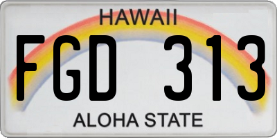 HI license plate FGD313