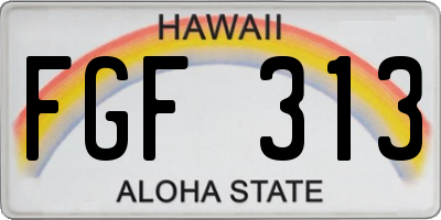 HI license plate FGF313