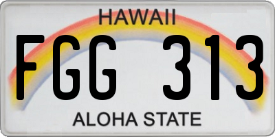 HI license plate FGG313