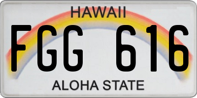HI license plate FGG616