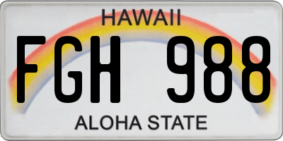 HI license plate FGH988