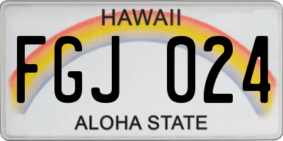 HI license plate FGJ024
