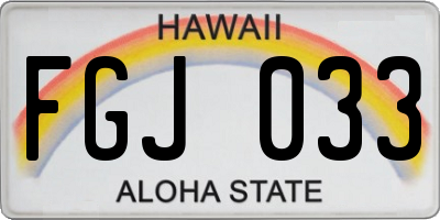 HI license plate FGJ033