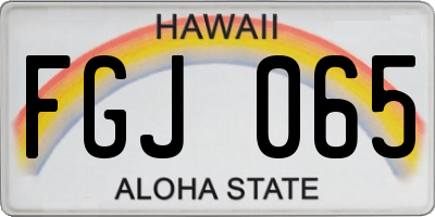 HI license plate FGJ065