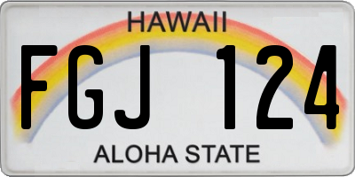 HI license plate FGJ124