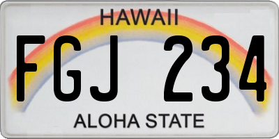 HI license plate FGJ234