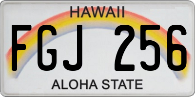 HI license plate FGJ256