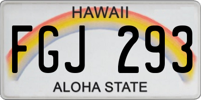HI license plate FGJ293