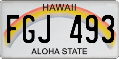 HI license plate FGJ493