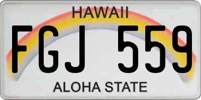 HI license plate FGJ559