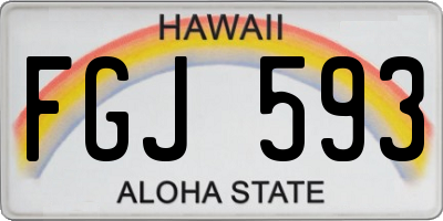 HI license plate FGJ593