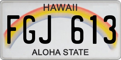 HI license plate FGJ613
