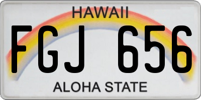 HI license plate FGJ656