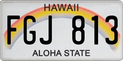 HI license plate FGJ813