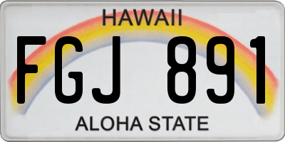 HI license plate FGJ891