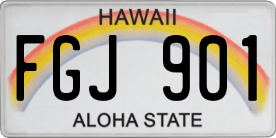 HI license plate FGJ901