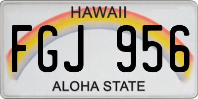 HI license plate FGJ956