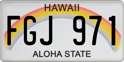 HI license plate FGJ971