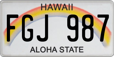 HI license plate FGJ987