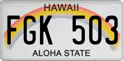 HI license plate FGK503