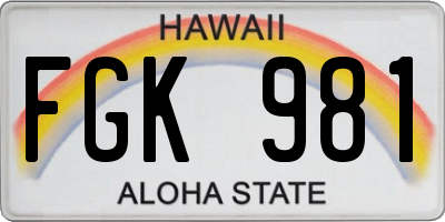 HI license plate FGK981