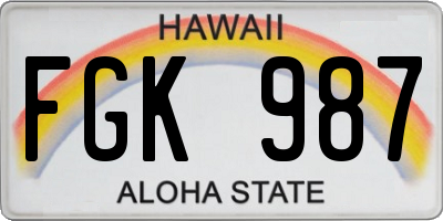 HI license plate FGK987