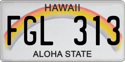 HI license plate FGL313