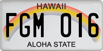 HI license plate FGM016