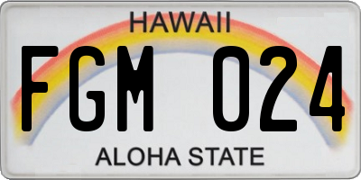 HI license plate FGM024