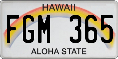 HI license plate FGM365